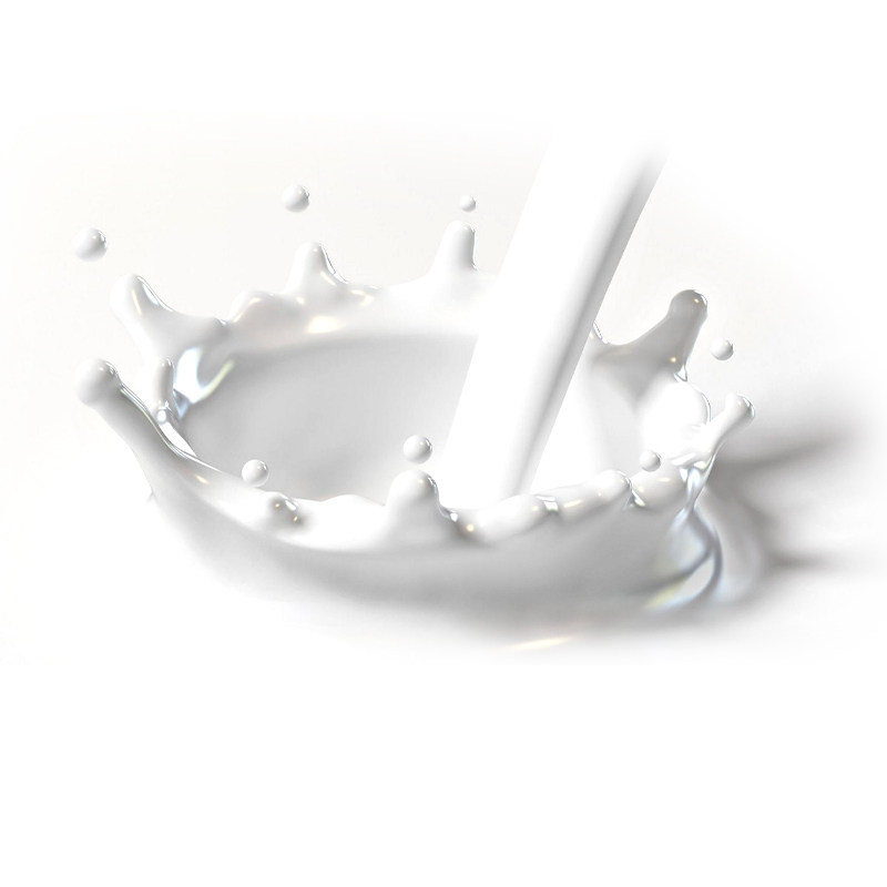 Latar SBR karboksilat: Komponen utama dalam kalis air